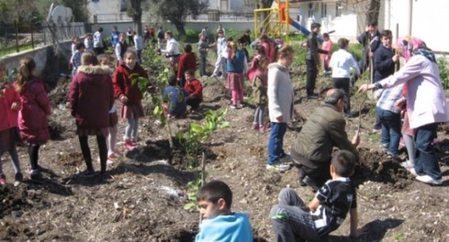 Urla’da Meyve Fidanları Toprakla Buluşuyor