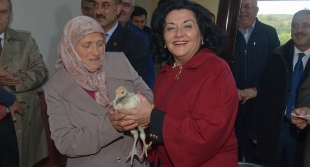 Vali Civelek’ten Kapaklı Köyüne 950 Hindi Civcivi