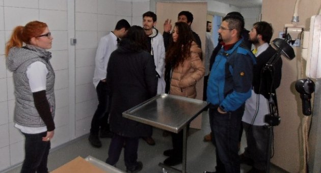 Veteriner Adayları Yaracabey Yaban Hayatı Kurtarma Ve Rehabilitasyon Merkezi’ni Gezdi