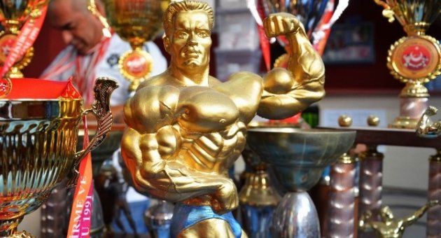 Vücut Geliştirme Şampiyonasında 17 Ayrı Derece Aldılar