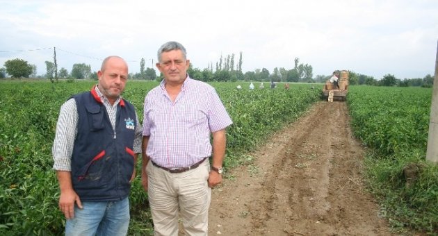 Yağmur Çiftçiyi Sevindirdi