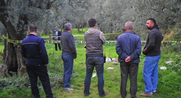 Yalnız Yaşayan Adamın Cesedi Zeytinlikte Bulundu