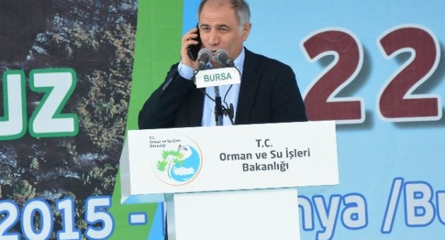Yanan 170 Hektarlık Alana 110 Bin Ağaç Ve 600 Kilogram Tohum Ekilecek