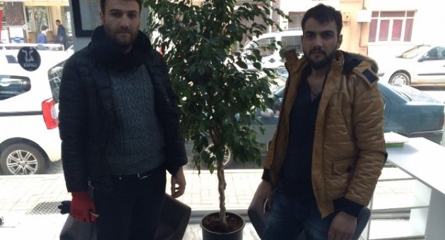 Yaralı Atmaca Tedavi Altına Alındı