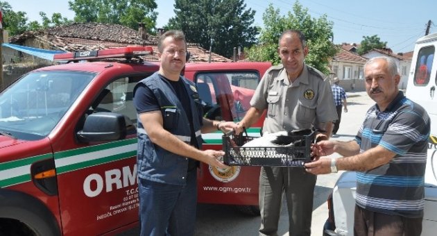 Yaralı Leyleğe Muhtar Sahip Çıktı