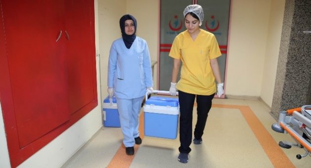Yaşlı Adamın Organları 3 Kişiye Hayat Verecek
