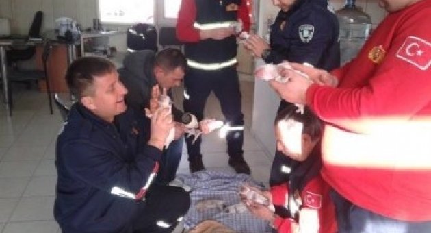 Yavru Köpeklere İtfaiye Şefkati