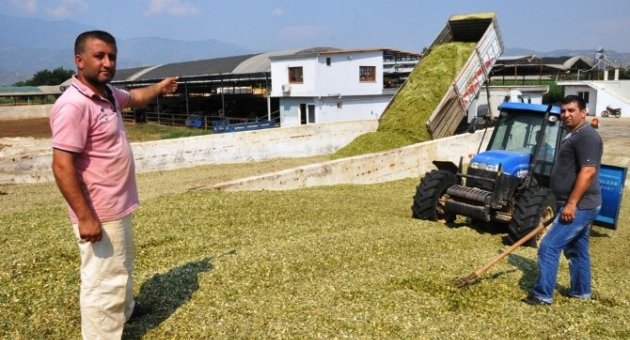 Yem Fiyatlarında Artış, Sütte İse Düşüş Yaşanıyor