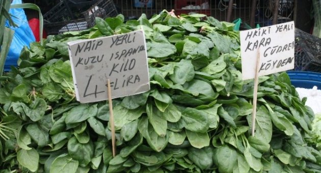 Yeni Mahsul Ispanak Tezgahta 3 Tl’den Fiyat Buldu