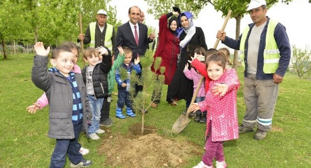 Yeni Yıldırım Yeşile Sahip Çıkıyor