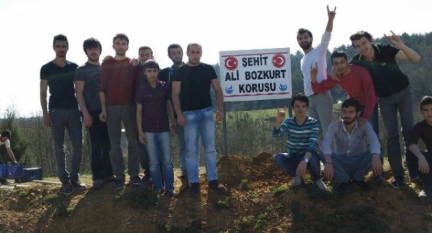 Yenice’de Şehit Ali Bozkurt Korusunun Tabelası Dikildi