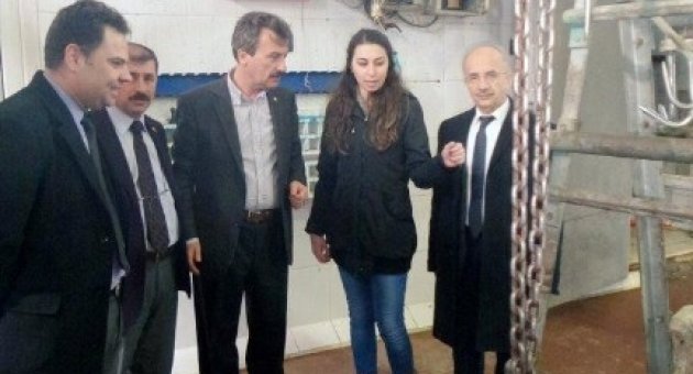 Yenişehir Mezbahası Sürekli Denetim Altında