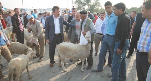 Yenişehir’de Şap Salgını Sebebiyle Hayvan Pazarı Kapatıldı