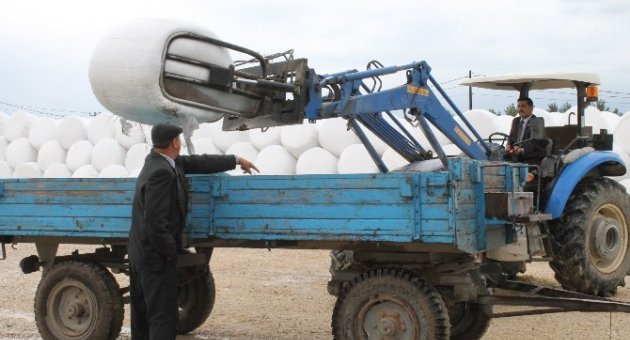 Yenişehir’de Silaj Tesisi Çiftçiyi Güldürdü