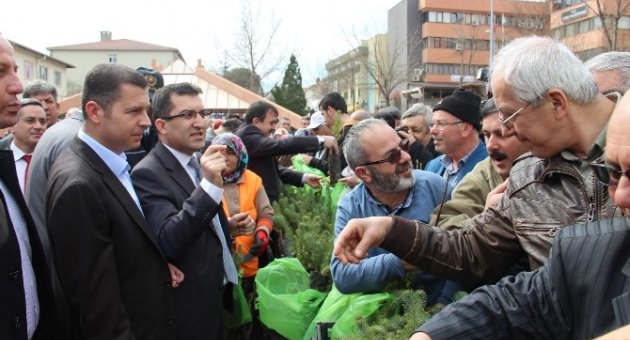 Yeşil Bir Çan İçin Ücretsiz 50 Bin Fidan