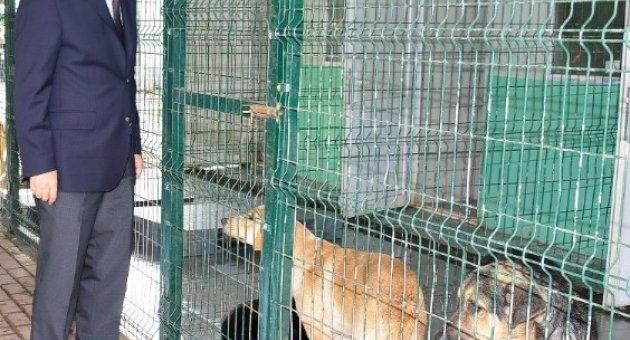 Yıldırım Belediyesi Bin 255 Hayvanı Tedavi Etti