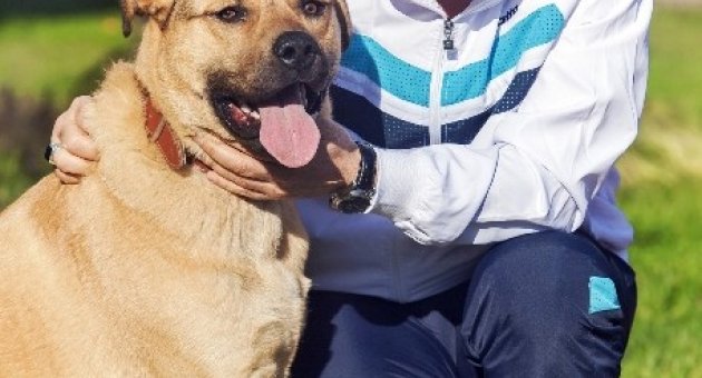 Yıldırım Belediyesi’nden "hayvan Satın Almayın, Sahiplenin" Çağrısı