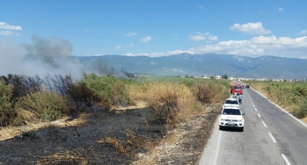 Yol Kenarında Başlayan Yangın Sazlığı Yaktı