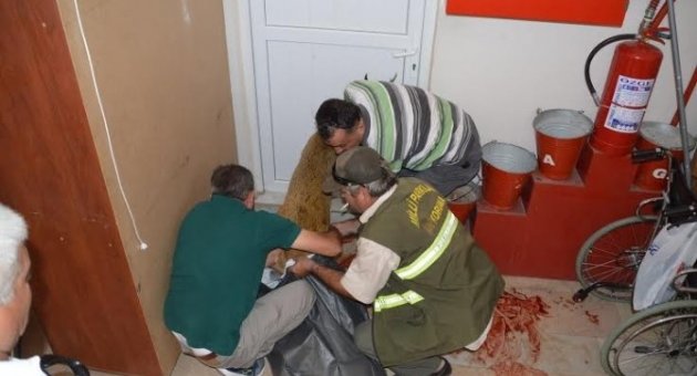 Yola Fırlayan Yavru Ceylana Otomobil Çarptı