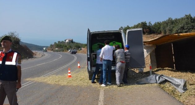 Yoldan Çıkan Kamyon Parçalandı, Sürücü Hayatını Kaybetti