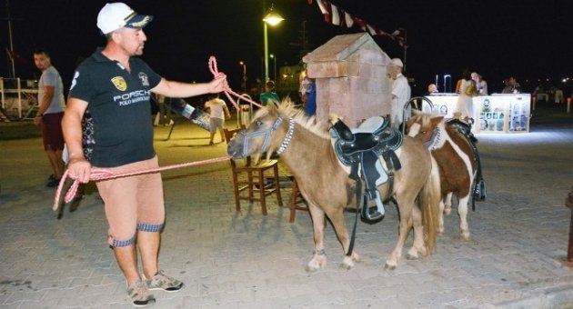 “pony” Atları İle Cunda Turunun Dakikası 1 Lira