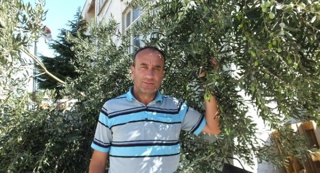 Zeytincinin Gözü Gökte