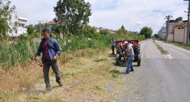 Zeytinli Mahallesi Yaza Hazırlanıyor