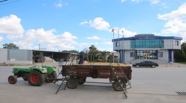 Biga'da Sezonun İlk Mahsulü Satıldı