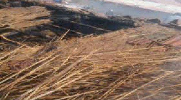 Çanakkale’nin Biga ilçesin'de Samanlık Yangını