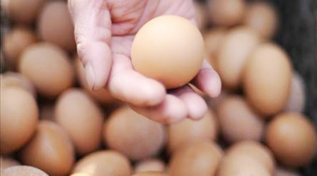 Çanakkale'de Bir Eve Yumurtalı Saldırı.