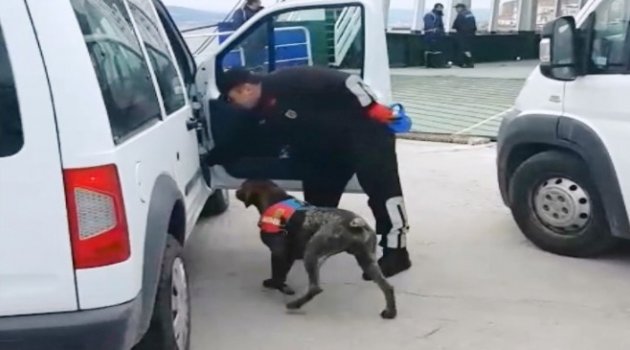 Çanakkale'de Jandarma Kuş Uçurtmuyor
