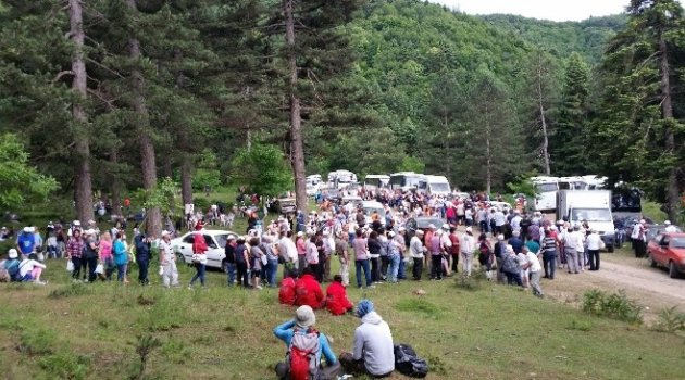 Çevre Örgütleri Yenice'de Buluştu