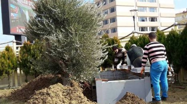 GESTAŞ İskelesinin içindeki Hummalı Çalışma Merak Konusu Uyandırdı