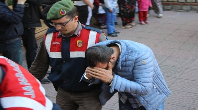 Göçmen Kaçakçılığı Operasyonunda 11 Gözaltı