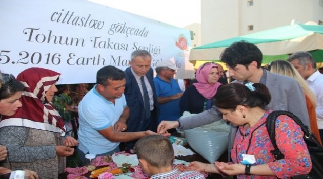 Gökçeada'da Tohum Takas Şenliği