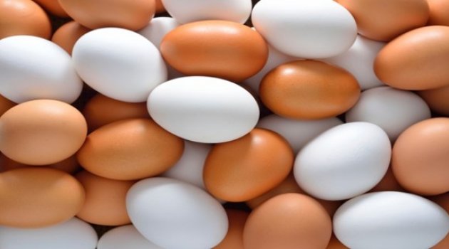 Hızlı refleks için yumurta tüketin!