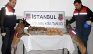 Jandarmanın Eroin Operasyonu Kamerada