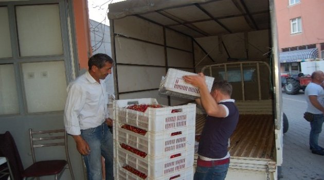Lapseki'de Kiraz İhracatı