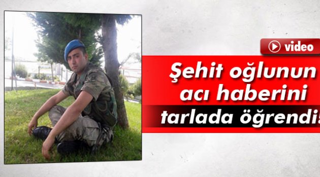 Oğlunun şehit haberini tarlada öğrendi..