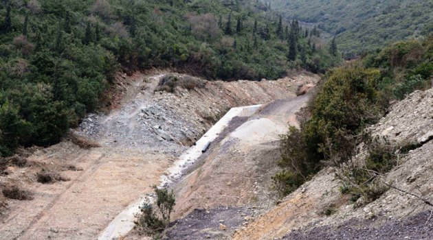 'Ormana kıymayın' demek örgüt suçu