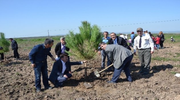 Seddülbahir Kahramanı Bigalı Mehmet Çavuş Hatıra Ormanı