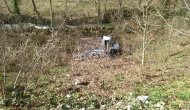 Cide’de Trafik Kazası: 1 Yaralı