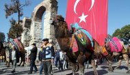Selçuk’ta Deve Güreşleri Festivali Coşkusu Başladı