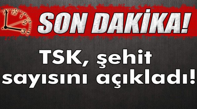TSK'dan Dağlıca açıklaması: 16 şehit