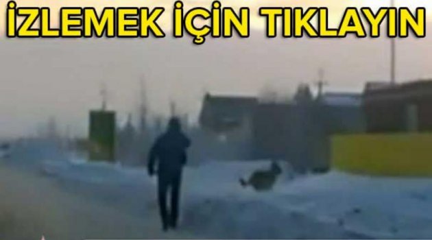 Yolda şok eden görüntü